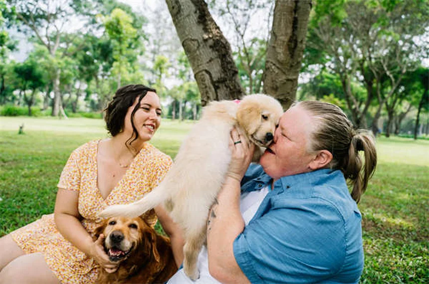 Gusanos del corazón en perros: cómo se contagian y previenen