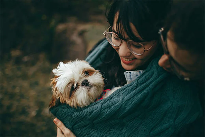 Anemia Infecciosa Equina: Síntomas, Tratamiento y Prevención